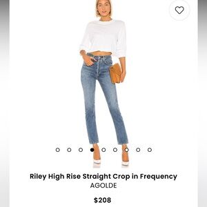 Agolde Riley High Rise Straight Crop in Frequency